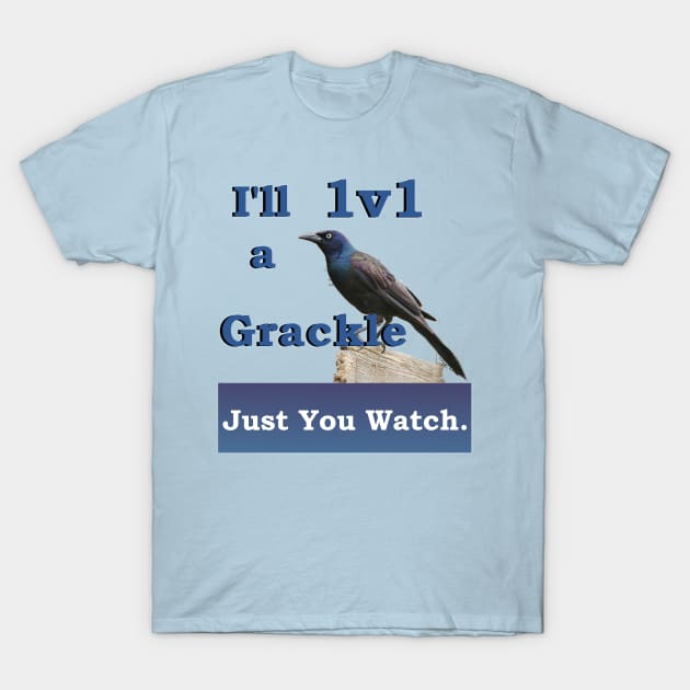 I'll 1v1 a Grackle Just You Watch Slogan Tee T-Shirt by nhitori